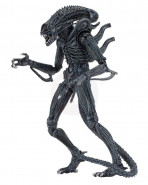 Aliens Action Figure 23 cm Ultimate Warrior